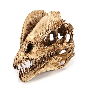Dilophosaurus Dinosaur Skull Resin Crafts Fossil Skeleton Teaching Model Halloween Home Office Decoration
Dilophosaurus Dinosaur Skull Resin Crafts Fossil Skeleton Teaching Model Halloween Home Office Decoration