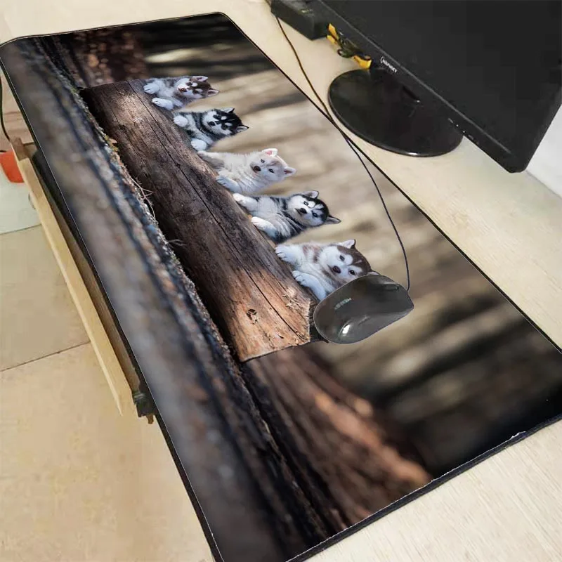 XGZ Five Husky Large Gaming Mouse Pad Lock Edge Dog Mat Keyboard Table Desk for Notebook Laptop Gamer pad
XGZ Five Husky Large Gaming Mouse Pad Lock Edge Dog Mat Keyboard Table Desk for Notebook Laptop Gamer pad