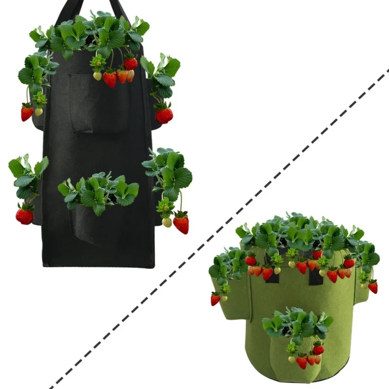Non-woven Plant Grow Bag With Double Handle Hanging Type Plant Pouch Root Container Grow Bag Garden Planters Supplies
Non-woven Plant Grow Bag With Double Handle Hanging Type Plant Pouch Root Container Grow Bag Garden Planters Supplies