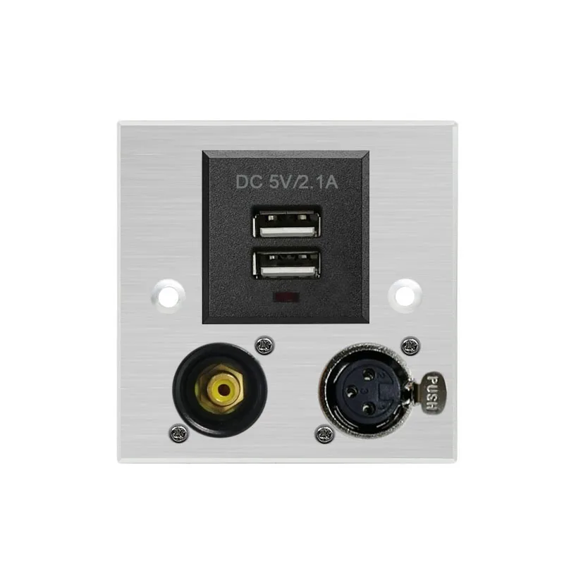 Brushed Silver Aluminum Alloy 86X86 mm Wall Plate Power Outlet Socket with RCA XLR Terminal Dual USB Connector
Brushed Silver Aluminum Alloy 86X86 mm Wall Plate Power Outlet Socket with RCA XLR Terminal Dual USB Connector