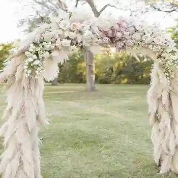 114/5000 Dried Natural Pampas Grass Decor Phragmites Flowers Home Christmas Decoration Natural Plants Dried Flower Bouquet 
114/5000 Dried Natural Pampas Grass Decor Phragmites Flowers Home Christmas Decoration Natural Plants Dried Flower Bouquet