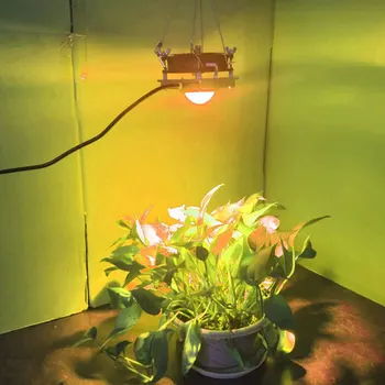 Indoor 50W Cob Full Spectrum Led Plant Grow Light Growing Phyto Lamp For Veg Flower Hydroponic Greenhouse Flower Growing Light
Indoor 50W Cob Full Spectrum Led Plant Grow Light Growing Phyto Lamp For Veg Flower Hydroponic Greenhouse Flower Growing Light