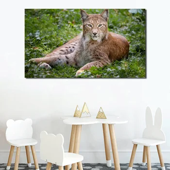 Wild Animal Grass Lynx Wall Art Canvas Poster And Print Canvas Painting Oil Decorative Picture Living Room Home Decor Framework
Wild Animal Grass Lynx Wall Art Canvas Poster And Print Canvas Painting Oil Decorative Picture Living Room Home Decor Framework