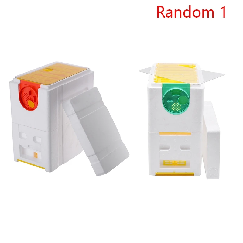 Hot New Honey Beehive Frames Beekeeping Box Bee Hive King Pollination Box Bee Mating Copulation Box Beekeeping Equipment
Hot New Honey Beehive Frames Beekeeping Box Bee Hive King Pollination Box Bee Mating Copulation Box Beekeeping Equipment