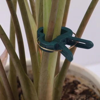 20PCS Plant Clip Plastic Plant Support Binding Clip Tomato Clips Tomato Clips Greenhouse Bracket Plant Clips Garden Plant Clip
20PCS Plant Clip Plastic Plant Support Binding Clip Tomato Clips Tomato Clips Greenhouse Bracket Plant Clips Garden Plant Clip