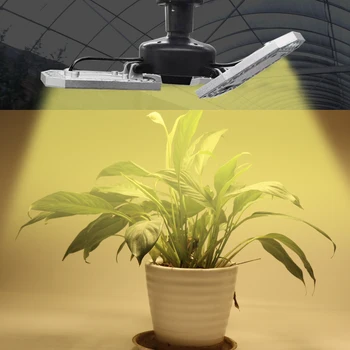 Adjustable Three-leaf LED Grow Light Bulb E27 AC85-265V 100W Full Spectrum Phytolamp Indoor Tent Greenhouse Plants Veg Grow Lamp
Adjustable Three-leaf LED Grow Light Bulb E27 AC85-265V 100W Full Spectrum Phytolamp Indoor Tent Greenhouse Plants Veg Grow Lamp