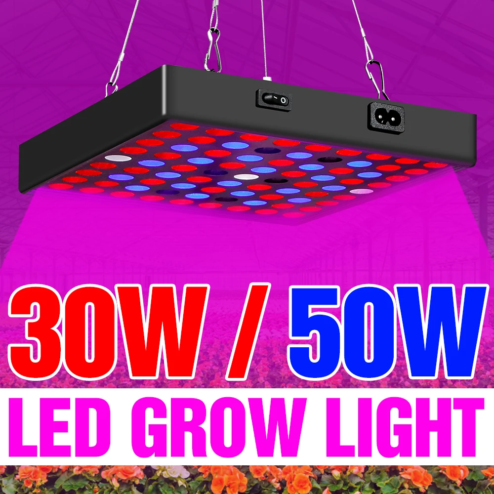 LED Plant Grow Light EU US UK Plug Phyto Lamp LED Full Spectrum Seedling Fito Light 30W 50W Vegetables Growing Tent 220V Lampara
LED Plant Grow Light EU US UK Plug Phyto Lamp LED Full Spectrum Seedling Fito Light 30W 50W Vegetables Growing Tent 220V Lampara