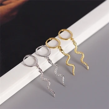 100% 925 Sterling Silver Earrings Fashion Long Serpentine Snake Tassel Stud Earrings For Women's Punk Style Animal Earrings
100% 925 Sterling Silver Earrings Fashion Long Serpentine Snake Tassel Stud Earrings For Women's Punk Style Animal Earrings