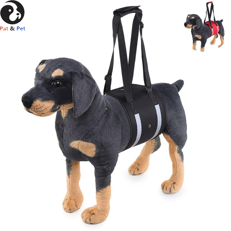 Pet Carrying Case Durable Polyester Hyena with Pet Hand Strap Help Dog Protection Belt
Pet Carrying Case Durable Polyester Hyena with Pet Hand Strap Help Dog Protection Belt