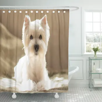 

Dog West Highland White Terrier Portrait Adopt Animal Begging Shower Curtain Polyester 60 x 72 inches Set with Hooks