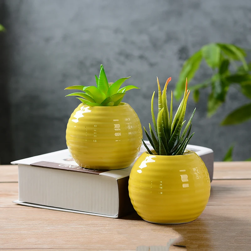 Succulent Plant Pot Meaty Vegetable Container Living Room Landscape Decorative Flower Pot Succulent Planter Flower Pot
Succulent Plant Pot Meaty Vegetable Container Living Room Landscape Decorative Flower Pot Succulent Planter Flower Pot
