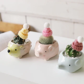 

Mini Cartoon macetas de ceramica Cute animal flower pot doniczki dekoracyjne succulents plants pots Hedgehog flowerpot garden