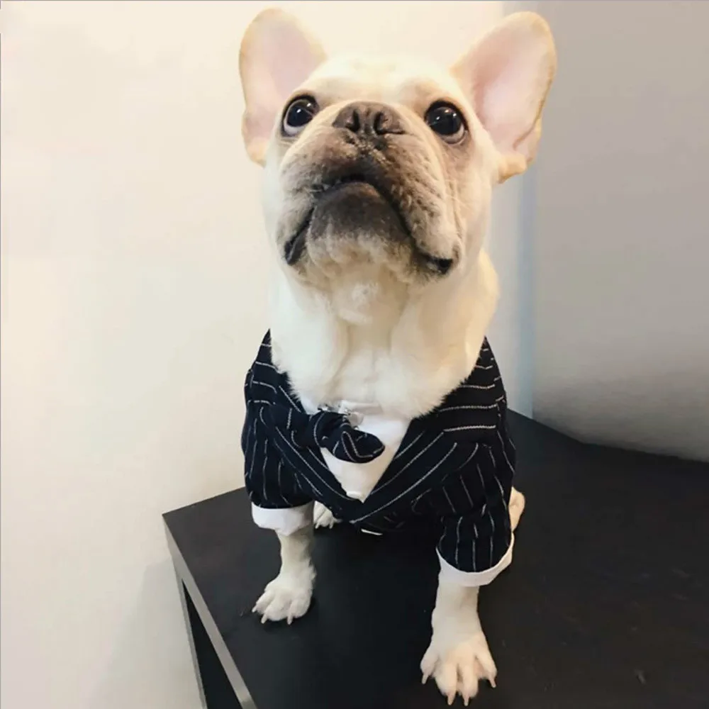 1set Dog Clothes Spring and Autumn Style Striped Suit Jacket Teddy Bichon Two-legged Suit Pet Clothes Wedding Party Puppy Dress
1set Dog Clothes Spring and Autumn Style Striped Suit Jacket Teddy Bichon Two-legged Suit Pet Clothes Wedding Party Puppy Dress