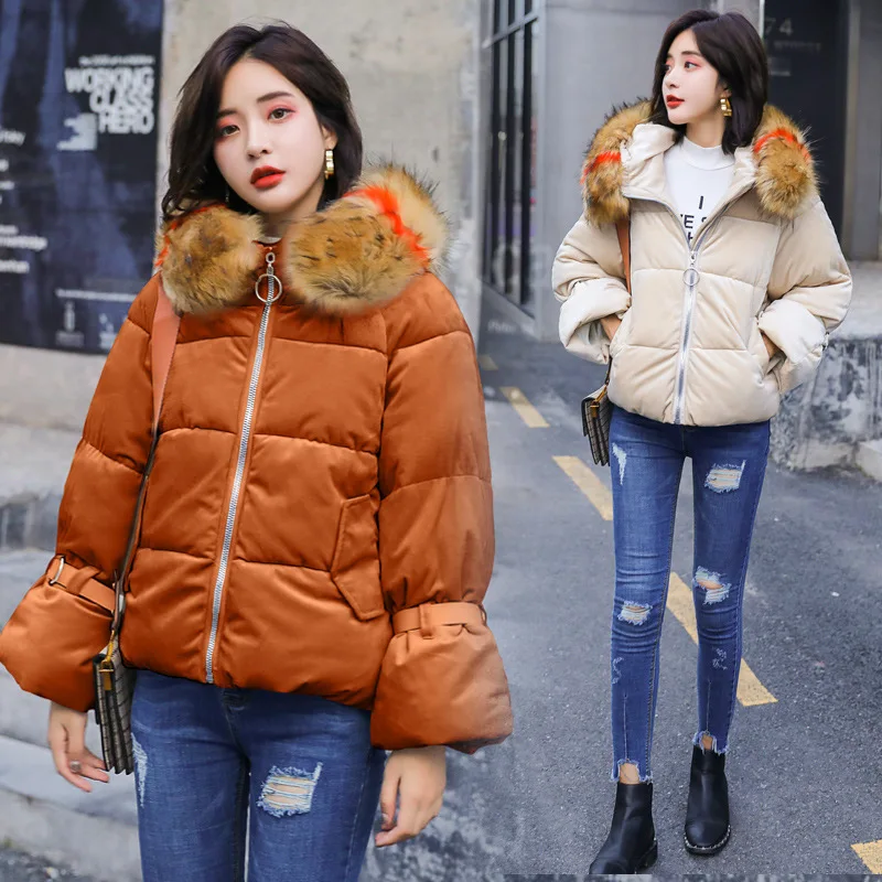 2018 Winter New Style WOMEN'S Dress Korean-style Fashion Elegant Short-height Short Velvet Cotton Coat Women's Slimming Cotton-p
2018 Winter New Style WOMEN'S Dress Korean-style Fashion Elegant Short-height Short Velvet Cotton Coat Women's Slimming Cotton-p