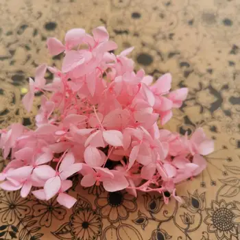3g/lot,Natural Preserved Hydrangea,Eternal Flower Head for Wedding Decoration,bride to be Headwear and DIY gift box favor 
3g/lot,Natural Preserved Hydrangea,Eternal Flower Head for Wedding Decoration,bride to be Headwear and DIY gift box favor