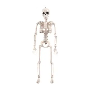 Halloween Decoration Poseable Skeleton Figure with Movable Joints Haunted House Props for Halloween Party Decorations
Halloween Decoration Poseable Skeleton Figure with Movable Joints Haunted House Props for Halloween Party Decorations