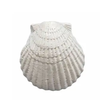 White Starfish Aquarium Fish Tank Ornament Decoration Sand Dollars Mixed Ocean
White Starfish Aquarium Fish Tank Ornament Decoration Sand Dollars Mixed Ocean