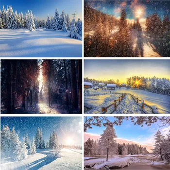 Vinyl Custom Photography Backdrops Prop Winter landscape Photography Background 200309HD-02
Vinyl Custom Photography Backdrops Prop Winter landscape Photography Background 200309HD-02