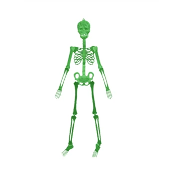 Halloween Props Luminous Skeleton 360° Rotation of Joints Horror Dress Up Holiday Decoration Tool
Halloween Props Luminous Skeleton 360° Rotation of Joints Horror Dress Up Holiday Decoration Tool
