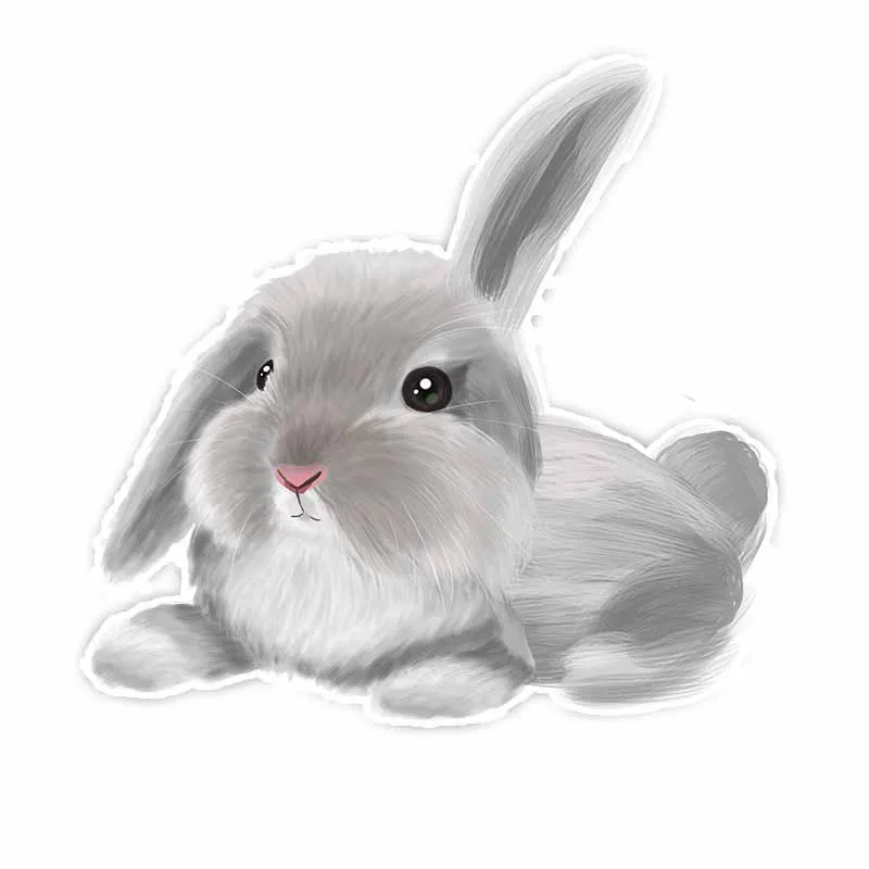 Creative Car Sticker Beautiful Animal Rabbit Decal Window Vinyl Reflective Cover Scratches Waterproof PVC 14.3cm X 15cm
Creative Car Sticker Beautiful Animal Rabbit Decal Window Vinyl Reflective Cover Scratches Waterproof PVC 14.3cm X 15cm