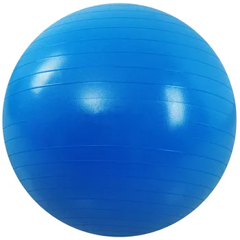 55cm Yoga Ball Pilates Yoga Tools Balance Ball Non-slip Fitness Exercise Training Core Strength Mini Inflator Yoga Ball
55cm Yoga Ball Pilates Yoga Tools Balance Ball Non-slip Fitness Exercise Training Core Strength Mini Inflator Yoga Ball