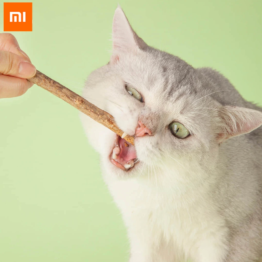 Xiaomi Youpin 8 Pcs/bag Cat Cleaning Teeth Pure Natural Catnip Molar Toothpaste Chew Stick Chiscat Actinidia Polygama Vine Toy
Xiaomi Youpin 8 Pcs/bag Cat Cleaning Teeth Pure Natural Catnip Molar Toothpaste Chew Stick Chiscat Actinidia Polygama Vine Toy
