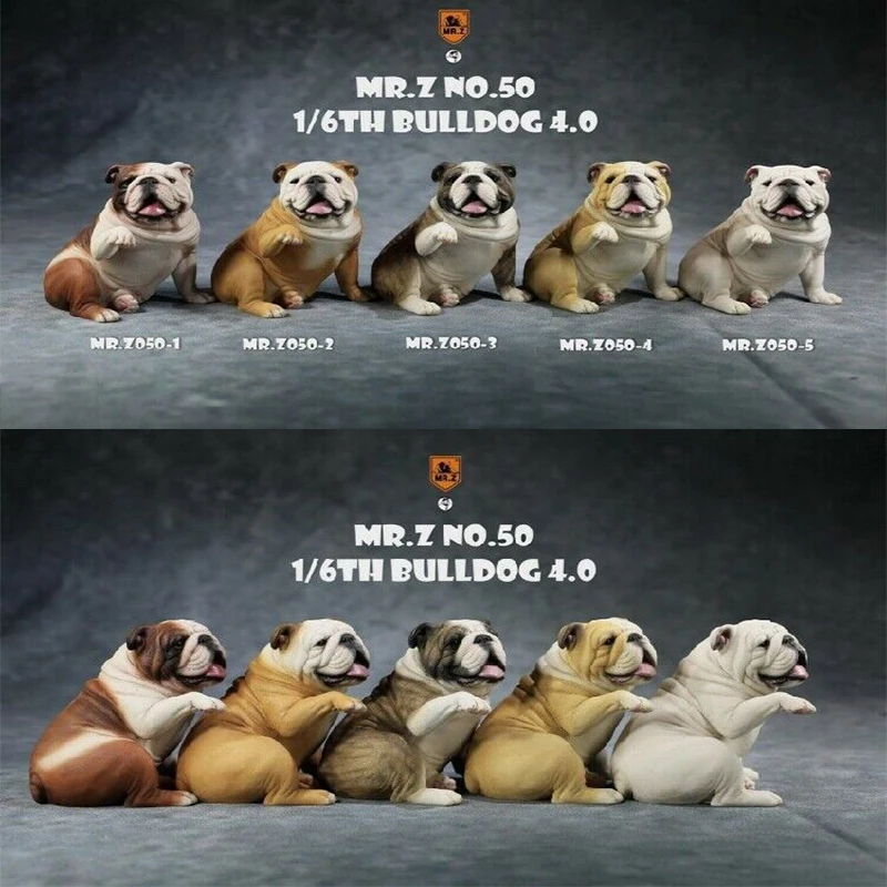 Mr.Z MRZ050 1/6 British Bulldog Bulldog 4.0 Model Pet Dog Animal Collection Toy In Stock
Mr.Z MRZ050 1/6 British Bulldog Bulldog 4.0 Model Pet Dog Animal Collection Toy In Stock