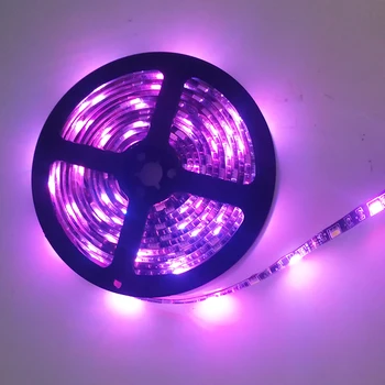 LED strip lights RGBW 5V USB 2M,3M Flexible Tape IP65 Waterproof light flash automatically RGBW Colorful strip lighting
LED strip lights RGBW 5V USB 2M,3M Flexible Tape IP65 Waterproof light flash automatically RGBW Colorful strip lighting