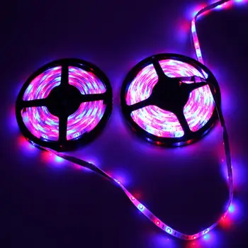 Lighting Decoration Decoration 5M with Remote Control Waterproof Remote LED Strip Halloween Halloween Light Bars 44 Buttons
Lighting Decoration Decoration 5M with Remote Control Waterproof Remote LED Strip Halloween Halloween Light Bars 44 Buttons