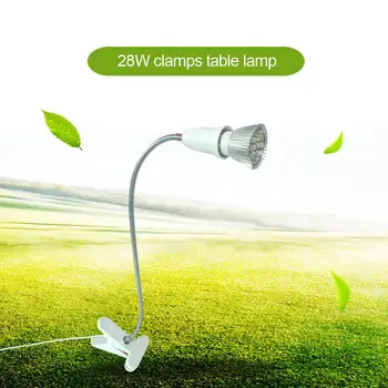 28W LED Grow Light Bulb With Desk Holder Clip Indoor Seedling Lamp Desk Light
28W LED Grow Light Bulb With Desk Holder Clip Indoor Seedling Lamp Desk Light