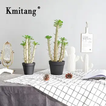 50cm 2pcs Foam Fake Cactus Tropical Tree Artificial Plant High Quality Succulent Potted Landscape For Living Room Garden Decor
50cm 2pcs Foam Fake Cactus Tropical Tree Artificial Plant High Quality Succulent Potted Landscape For Living Room Garden Decor