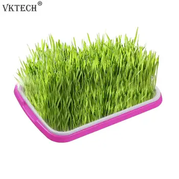 Plastic Nursery Pot Seed Sprouter Tray Vegetable Seedling Tray Sprout Plate Plant Seedling Grow Box Hydroponic Systems
Plastic Nursery Pot Seed Sprouter Tray Vegetable Seedling Tray Sprout Plate Plant Seedling Grow Box Hydroponic Systems