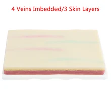 Forearm Venipuncture Jacket Model Arm Injection Training and Practice Blood Extraction Puncture Intramuscular Injection Model
Forearm Venipuncture Jacket Model Arm Injection Training and Practice Blood Extraction Puncture Intramuscular Injection Model