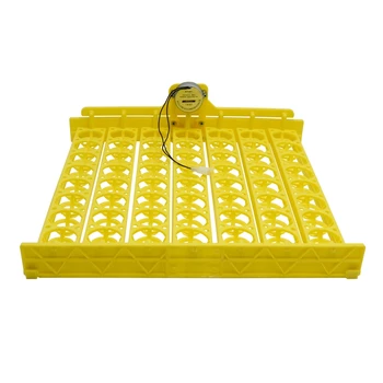 Egg Incubator Automatic 56 Bird Eggs Duck Chicken Eggs Hatching Machine 220V Incubator Trays with Auto Turn Motor
Egg Incubator Automatic 56 Bird Eggs Duck Chicken Eggs Hatching Machine 220V Incubator Trays with Auto Turn Motor