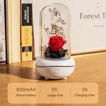 Essential Oils Home Decoration Night Light Flower Humidifiers Rose Flower LED Eternal Design Aroma Humidifiers Gift
Essential Oils Home Decoration Night Light Flower Humidifiers Rose Flower LED Eternal Design Aroma Humidifiers Gift