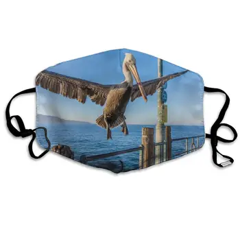 Birds Pelicans Beak Wings Washable Reusable Mask, Cotton Anti Dust Half Face Mouth Mask For Kids Teens Men Women With
Birds Pelicans Beak Wings Washable Reusable Mask, Cotton Anti Dust Half Face Mouth Mask For Kids Teens Men Women With