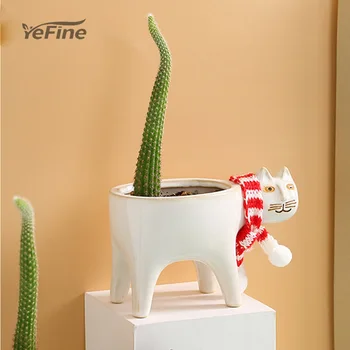 YeFine Creative Cute Cat Tail Ceramic Personality Cartoon Animal Simple Monkey Tail Column Cactus Flowerpot
YeFine Creative Cute Cat Tail Ceramic Personality Cartoon Animal Simple Monkey Tail Column Cactus Flowerpot