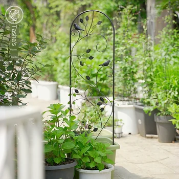 Wrought iron rattan stand rose clematis fruit and vegetable climbing plant flower stand courtyard stand
Wrought iron rattan stand rose clematis fruit and vegetable climbing plant flower stand courtyard stand