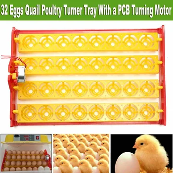 32 Eggs Positions Automatic Hatchery Machine 110V Chicken Eggs Incubator Trays with Auto Turn Motor Farm Poultry Hatching Device
32 Eggs Positions Automatic Hatchery Machine 110V Chicken Eggs Incubator Trays with Auto Turn Motor Farm Poultry Hatching Device