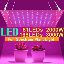 

3000W Growth Lamp For Plants Led Grow Light Full Spectrum Phyto Lamp Fitolampy Indoor Herbs Light For Greenhouse Led Grow Tent