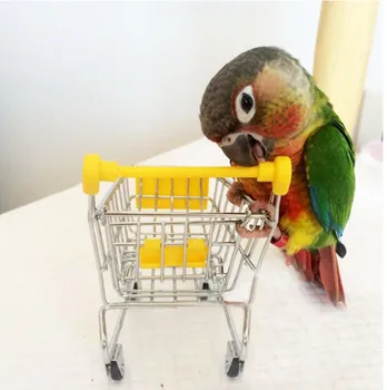 Small pet toys, parrot trolley, bird training, supermarket hamster, guinea pig, and chinchilla supplies, photo props
Small pet toys, parrot trolley, bird training, supermarket hamster, guinea pig, and chinchilla supplies, photo props