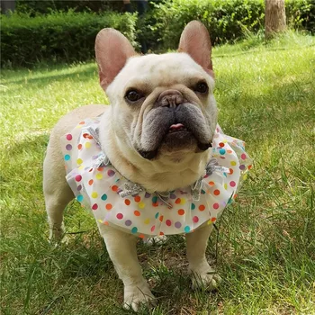 Color Wave Dot Pet's Saliva Towel TikTok Photo Dress Bullfighting Teddy Bear Cat Lace Skirt Wholesale
Color Wave Dot Pet's Saliva Towel TikTok Photo Dress Bullfighting Teddy Bear Cat Lace Skirt Wholesale