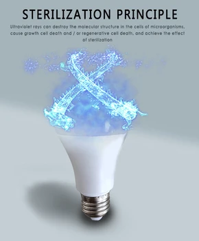 Ultraviolet Disinfection lamp Sterilizing bulb UV germicidal lamp Bulb Home Sterilizer Mites Light
Ultraviolet Disinfection lamp Sterilizing bulb UV germicidal lamp Bulb Home Sterilizer Mites Light