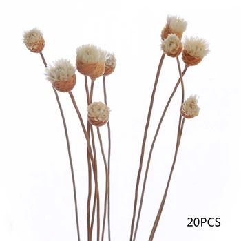 20pcs/set Flower Bud Rattan Reeds Fragrance Sticks DIY Decor Practical Hand
20pcs/set Flower Bud Rattan Reeds Fragrance Sticks DIY Decor Practical Hand