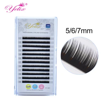 Yelix Bottom Lash Extensions lower eyelash 6/7/8mm short eyelash extensions under eyelash extensions Eyebrow Lashes Makeup
Yelix Bottom Lash Extensions lower eyelash 6/7/8mm short eyelash extensions under eyelash extensions Eyebrow Lashes Makeup