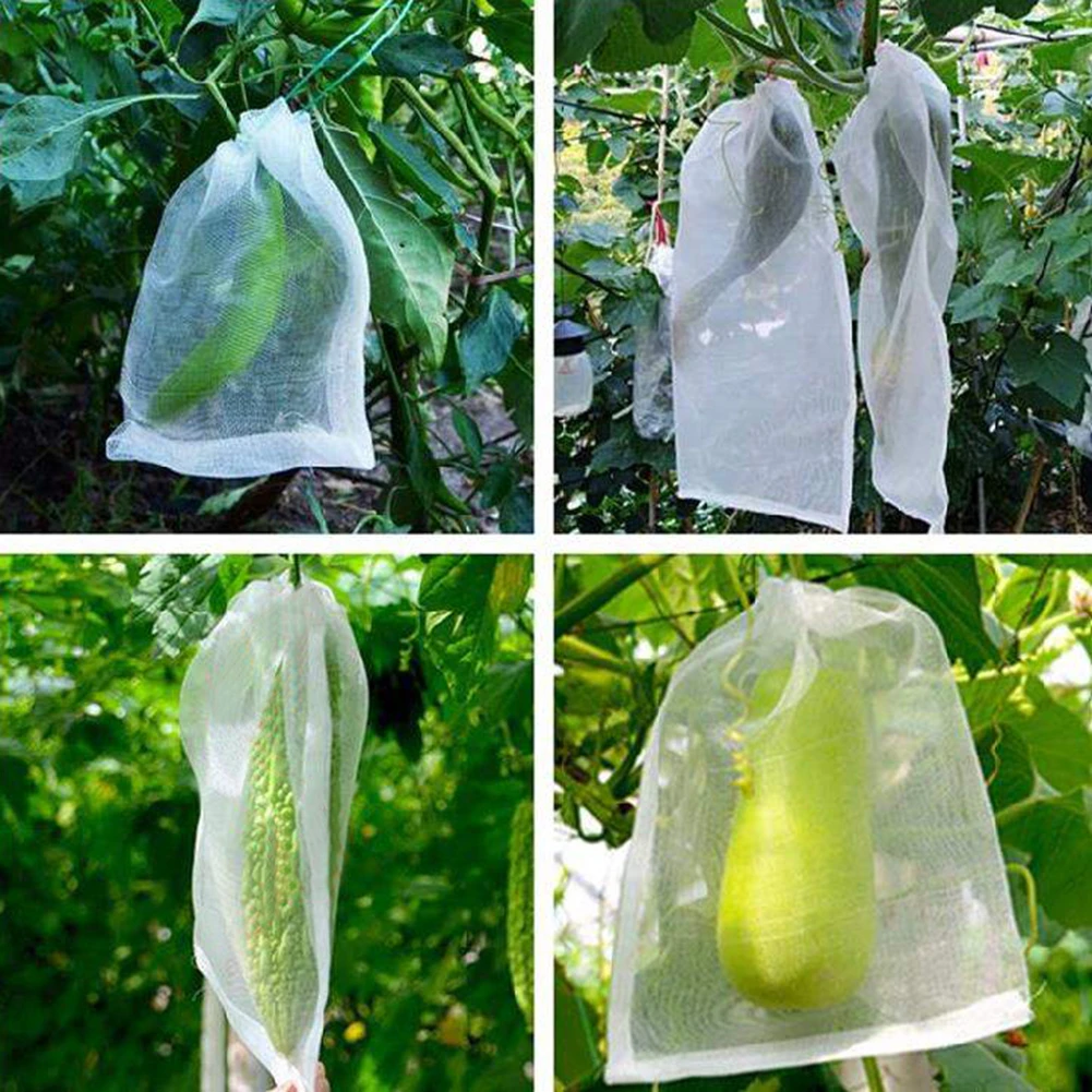 Insect Bird Barrier Netting Plant Cover Mesh Garden Bug Plant Winter Protection Fruit Flower Insect Bird Anti-Eating Garden Film
Insect Bird Barrier Netting Plant Cover Mesh Garden Bug Plant Winter Protection Fruit Flower Insect Bird Anti-Eating Garden Film