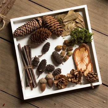 Artificial Plants Simulation Multi-type Natural Branches Acorn Fake Wood Plants DIY Package Photography Props Decoration
Artificial Plants Simulation Multi-type Natural Branches Acorn Fake Wood Plants DIY Package Photography Props Decoration