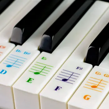 Piano Sticker Transparent Piano Keyboard Sticker for 49/61/76/88 Piano Stave Note Sticker Key Keyboards
Piano Sticker Transparent Piano Keyboard Sticker for 49/61/76/88 Piano Stave Note Sticker Key Keyboards