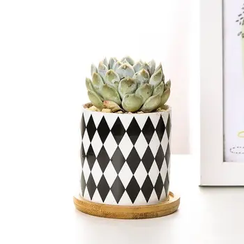 Succulent Plant Pots, Small Modren Pattern Flower Ceramic Planter Indoor with Bamboo Tray for Cactus, Herbs, Home, Set of 3
Succulent Plant Pots, Small Modren Pattern Flower Ceramic Planter Indoor with Bamboo Tray for Cactus, Herbs, Home, Set of 3