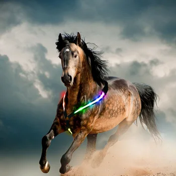 Color Change LED Horse Harness Discoloration Night Visible Nylon Colorful Breastplate Breast Belt Safe Horse Riding Equipment
Color Change LED Horse Harness Discoloration Night Visible Nylon Colorful Breastplate Breast Belt Safe Horse Riding Equipment